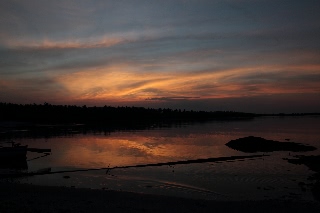 「無題」のサムネイル画像