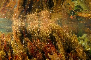 「無題」のサムネイル画像