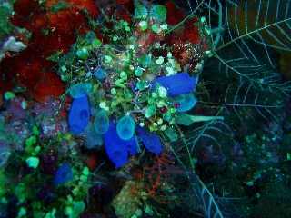 「無題」のサムネイル画像