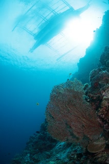 「無題」のサムネイル画像