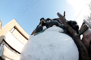 「公衆電話」のサムネイル画像