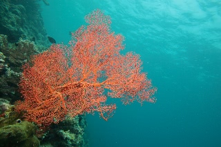 「無題」のサムネイル画像