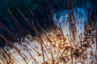 「無題」のサムネイル画像