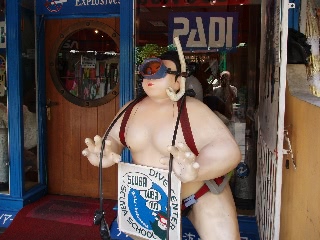 「相撲ダイバー…？」のサムネイル画像