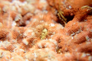 「無題」のサムネイル画像