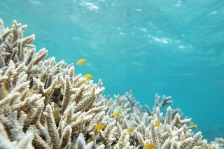 「無題」のサムネイル画像