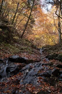 「無題」のサムネイル画像