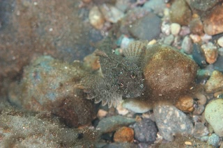 「無題」のサムネイル画像