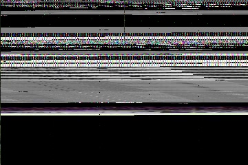 「植物の仲間」のサムネイル画像