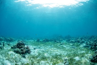 「無題」のサムネイル画像