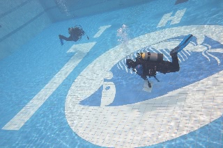 「無題」のサムネイル画像