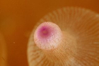 「無題」のサムネイル画像