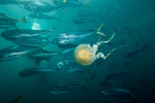 「無題」のサムネイル画像