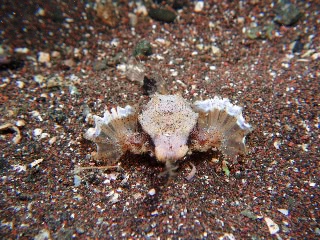 「ウミテング」のサムネイル画像