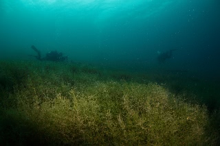「無題」のサムネイル画像