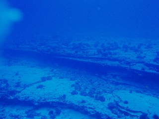 「無題」のサムネイル画像