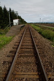 「無題」のサムネイル画像