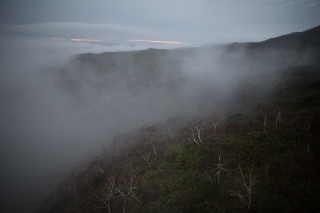 「無題」のサムネイル画像