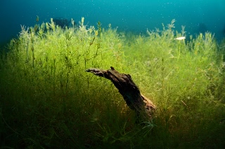 「無題」のサムネイル画像