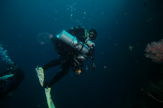 「無題」のサムネイル画像