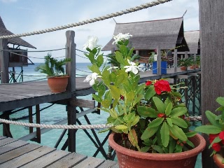 「花」のサムネイル画像