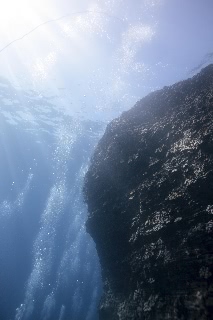 「無題」のサムネイル画像