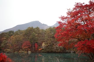 「毘沙門沼」のサムネイル画像