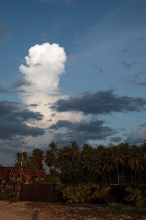 「無題」のサムネイル画像