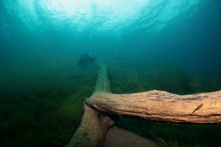 「無題」のサムネイル画像