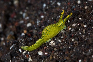 「無題」のサムネイル画像