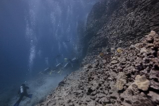 「無題」のサムネイル画像