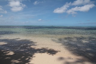 「無題」のサムネイル画像