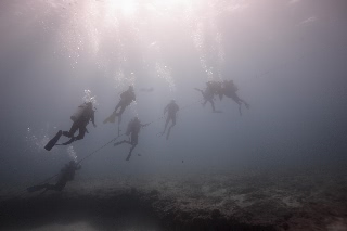 「無題」のサムネイル画像