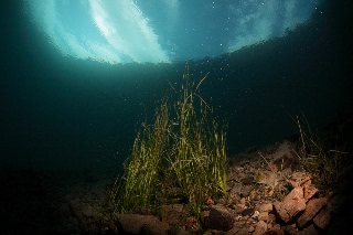 「無題」のサムネイル画像