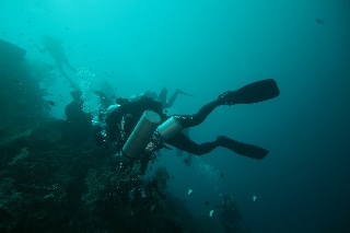 「無題」のサムネイル画像