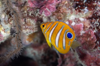 「無題」のサムネイル画像
