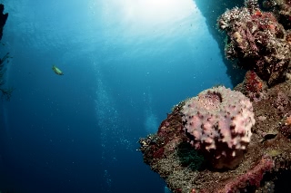 「無題」のサムネイル画像