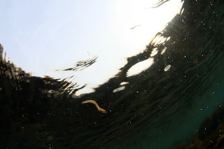 「無題」のサムネイル画像