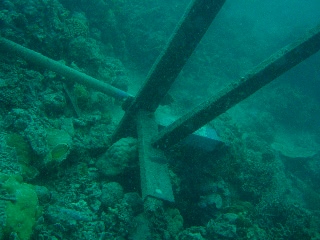 「先頭集団とはぐれ、あきらめて戻る辺りの目標物。」のサムネイル画像