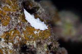 「無題」のサムネイル画像