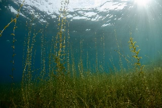 「無題」のサムネイル画像