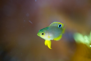 「無題」のサムネイル画像