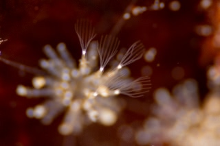 「無題」のサムネイル画像