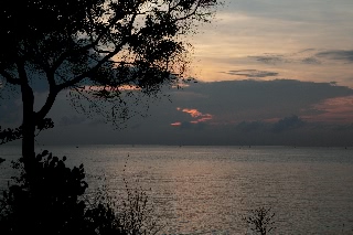 「無題」のサムネイル画像