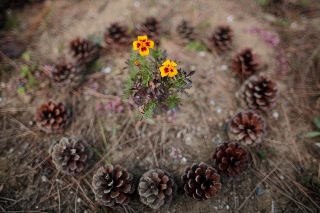 「無題」のサムネイル画像