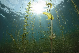 「無題」のサムネイル画像