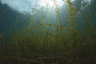 「無題」のサムネイル画像
