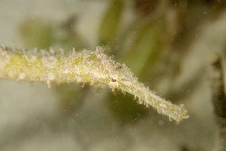 「無題」のサムネイル画像