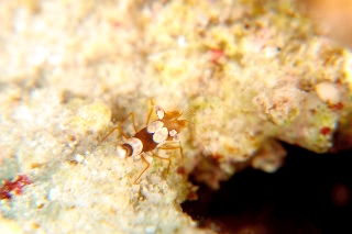 「無題」のサムネイル画像