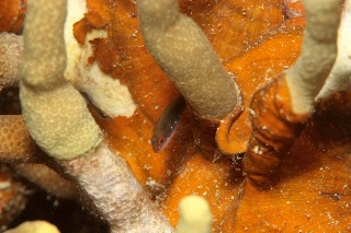 「無題」のサムネイル画像